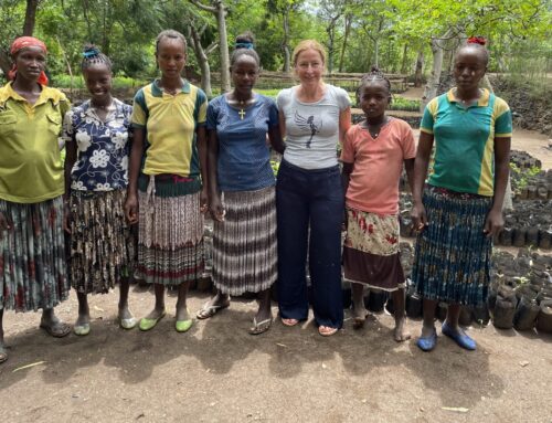 Trees for Youth und das Pokhorto Training Center (Konso)